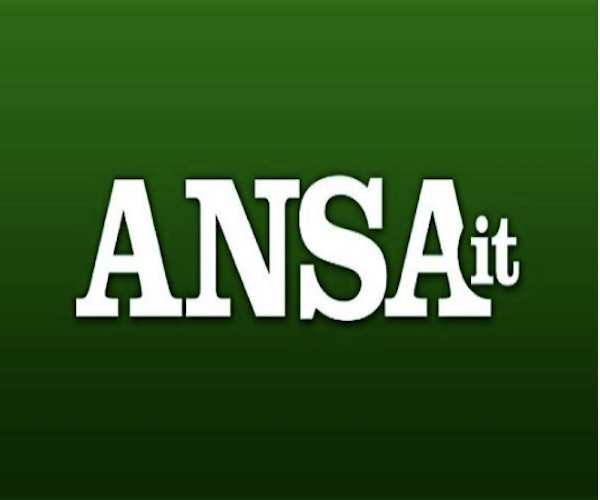 ANSA -  A MILANO STUDENTI DANNO VOTI AI PROF, PER 79% STRUMENTO VALIDO