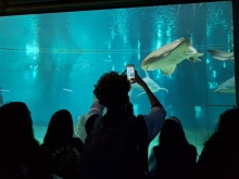 USCITA DIDATTICA A GENOVA – VISITA DELL’ACQUARIO