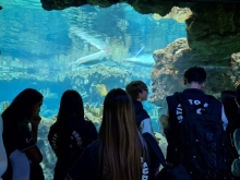 USCITA DIDATTICA A GENOVA – VISITA DELL’ACQUARIO