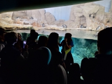 USCITA DIDATTICA A GENOVA – VISITA DELL’ACQUARIO