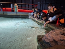 USCITA DIDATTICA A GENOVA – VISITA DELL’ACQUARIO